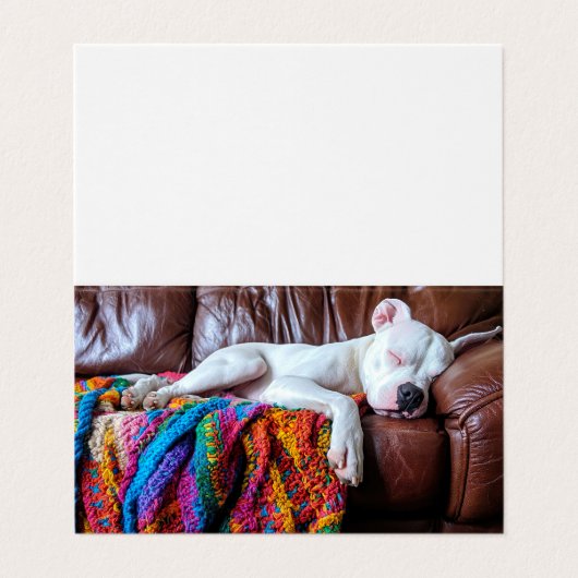ソファで寝るペットの座る仕事犬 名刺 (外部フラット)