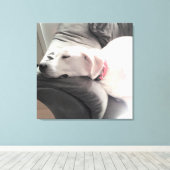 ソファで眠る美しい白犬の写真 キャンバスプリント (インサイチュ (ウッドフロア))