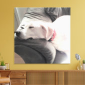 ソファで眠る美しい白犬の写真 キャンバスプリント (インサイチュ (リビング))