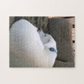 ソファで眠る落ち着いた太った子犬 ジグソーパズル (横)