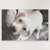 ソファにパパがいる可愛い白犬の写真 ジグソーパズル (横)