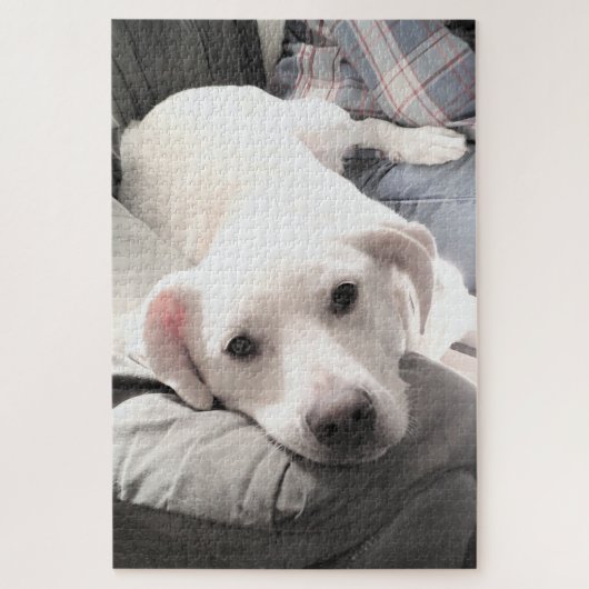 ソファにパパがいる可愛い白犬の写真 ジグソーパズル (縦)