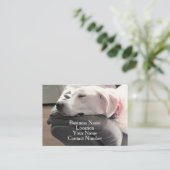 ソファに寝ているかわいい白犬の写真 名刺 (スタンド正面)