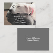 ソファに寝ているかわいい白犬の写真 名刺 (正面/裏面)