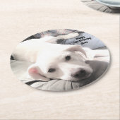 ソファに座ったかわいい疲れた白犬のパパ ラウンドペーパーコースター (アングル)