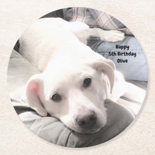 ソファに座ったかわいい疲れた白犬のパパ ラウンドペーパーコースター (正面)