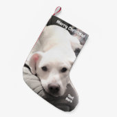 ソファに座った可愛い疲れた子犬のパパの写真 スモールクリスマスストッキング (正面 (吊り時))