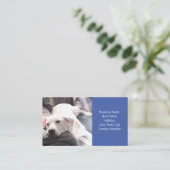 ソファに座ってかわいい怠け犬のパパ 名刺 (スタンド正面)