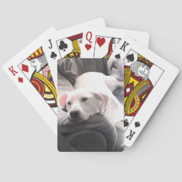 ソファに浮かぶ、かわいいぶら下がった怠け者の白犬の写真 トランプ