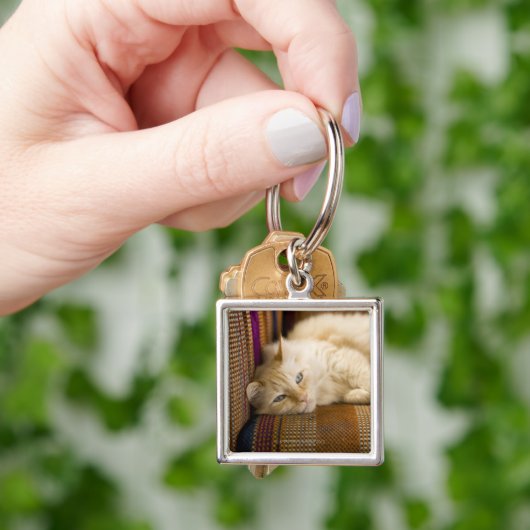 ソファに置いているかわいらしく黄色いtabi猫 キーホルダー (手)