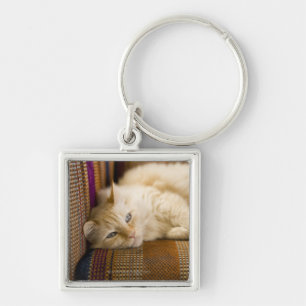 ソファに置いているかわいらしく黄色いtabi猫 キーホルダー