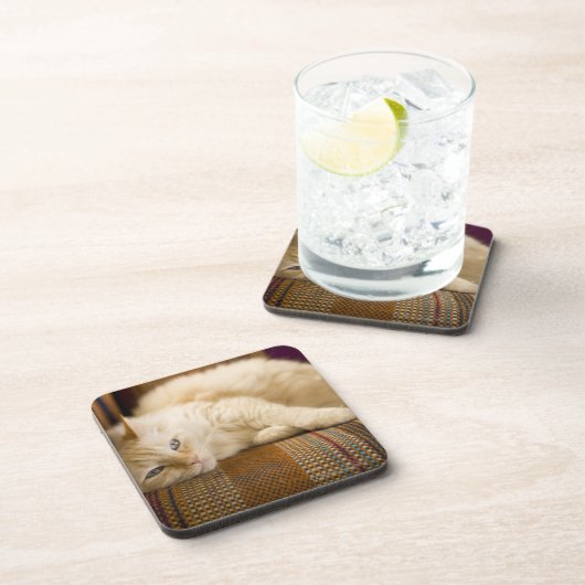 ソファに置いているかわいらしく黄色いtabi猫 コースター (右側)