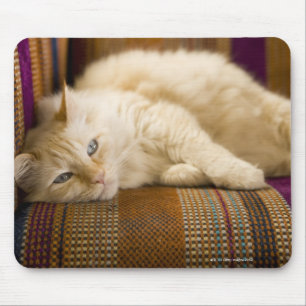 ソファに置いているかわいらしく黄色いtabi猫 マウスパッド