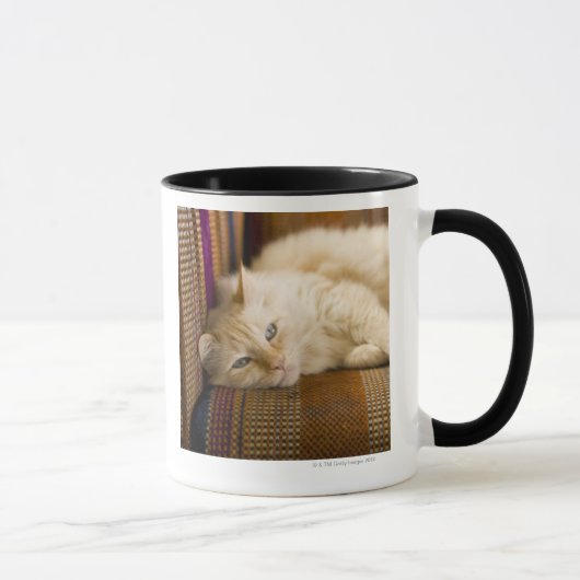 ソファに置いているかわいらしく黄色いtabi猫 マグカップ (右)