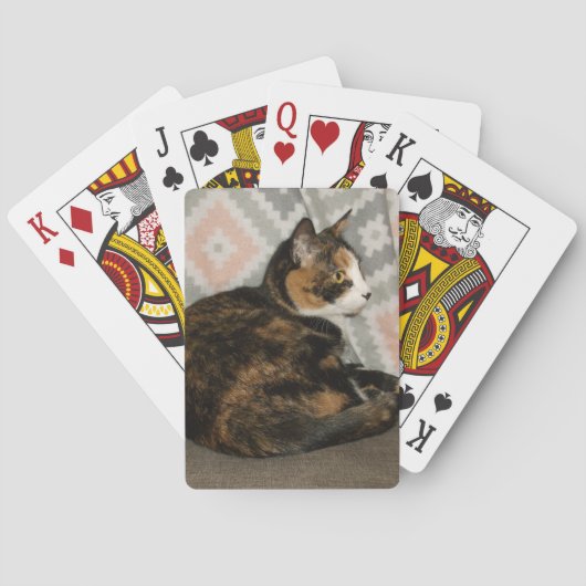 ソファのキャリー猫 トランプ (裏面)
