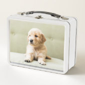 ソファのゴールデンレトリバーパピー メタルランチボックス (正面)