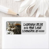 ソファのタビーキャット差出人住所ラベル ラベル (インサイチュ)