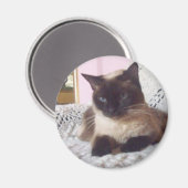 ソファのプリンセス マグネット (正面/裏面)