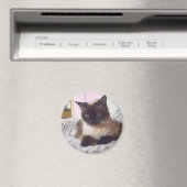 ソファのプリンセス マグネット (インサイチュ (食洗機))