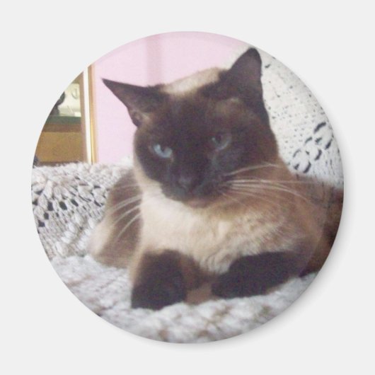 ソファのプリンセス マグネット (正面)