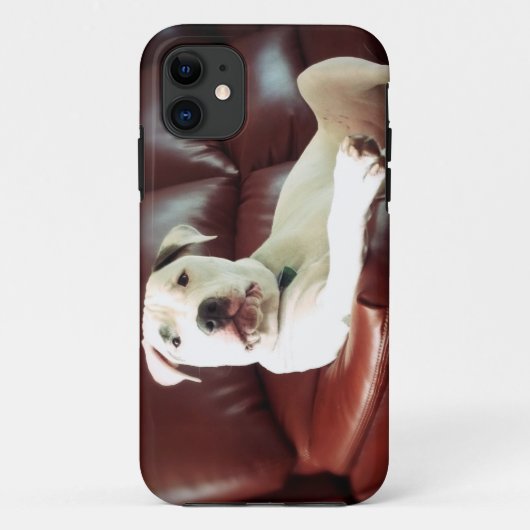 ソファの上のユーモラスな白いピットブル Case-Mate iPhoneケース (裏面)