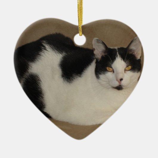 ソファの上の猫 セラミックオーナメント (正面)