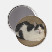 ソファの上の猫 マグネット (正面/裏面)