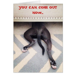 ソファの下に隠れている子犬