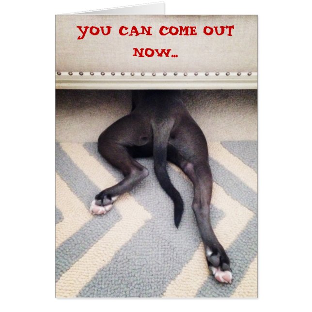 ソファの下に隠れている子犬 (正面)