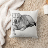 ソファの居心地の良いラボ クッション (ブランケット)