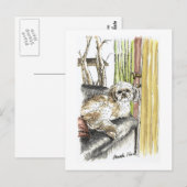 ソファの犬のポストカード ポストカード (正面/裏面)