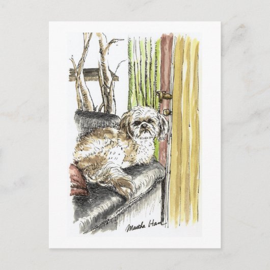 ソファの犬のポストカード ポストカード (正面)
