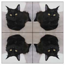 ソファの猫 ファブリック