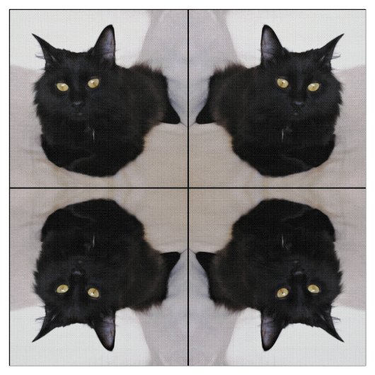 ソファの猫 ファブリック (見本)