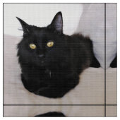 ソファの猫 ファブリック (クローズアップ)