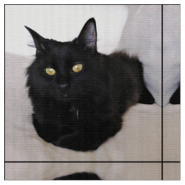 ソファの猫 ファブリック