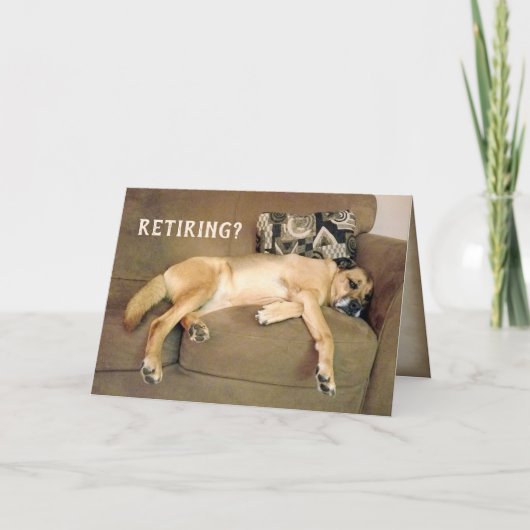 ソファの老猟犬 カード (正面)