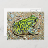 ソファの足底のヒキガエル ポストカード (正面/裏面)