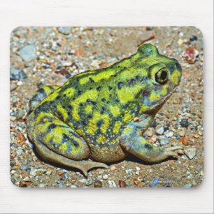 ソファの足底のヒキガエル マウスパッド