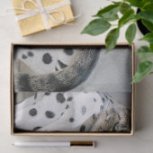 ソファキャットティッシュペーパー 薄葉紙 (ギフト)