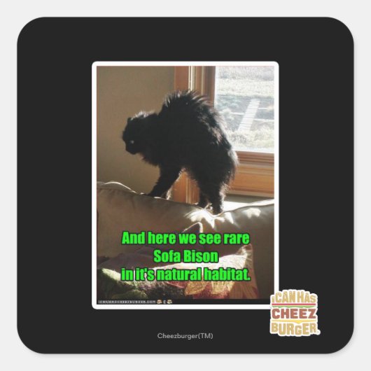 ソファビソン スクエアシール (正面)