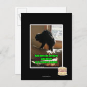 ソファビソン ポストカード (正面/裏面)