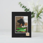 ソファビソン ポストカード (スタンド正面)