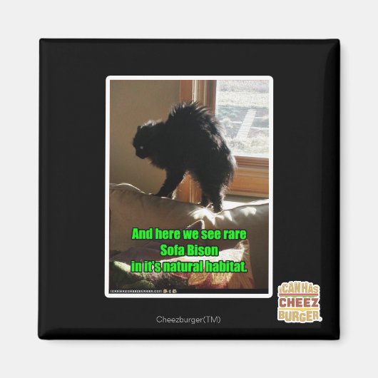 ソファビソン マグネット (正面)