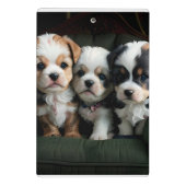 ソファーでくつろぐ超かわいい子犬たち 2 ミニクリップボード (裏面)