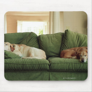 ソファーで眠っている犬 マウスパッド