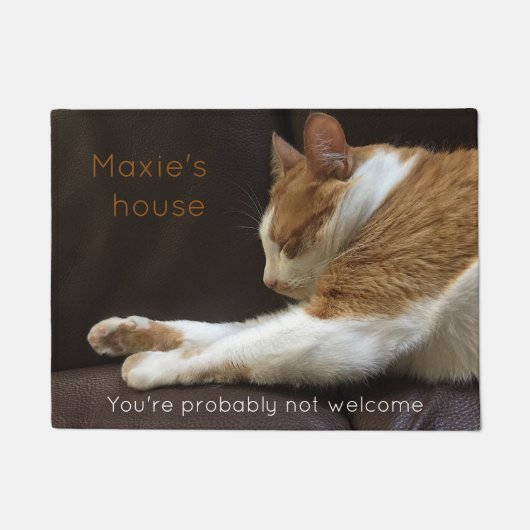 ソファーで眠っている猫 ドアマット (正面)