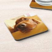 ソファーのアイリッシュセッター コースター (左側)