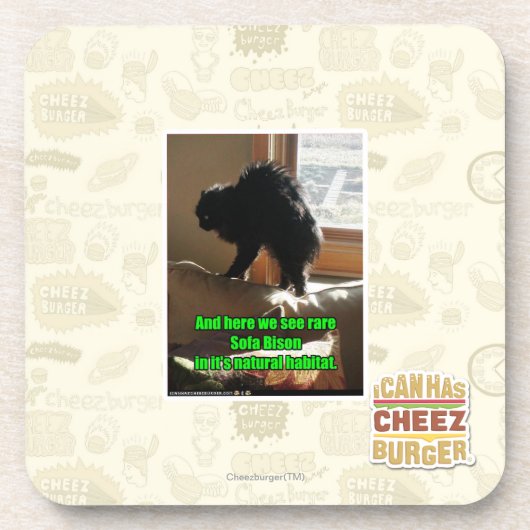 ソファーのバイソン コースター (正面)