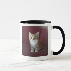 ソファーの猫 マグカップ